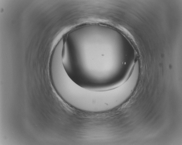 X0000071951183200607282001