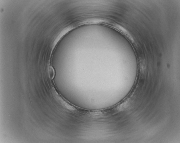 X0000071951186200607282001