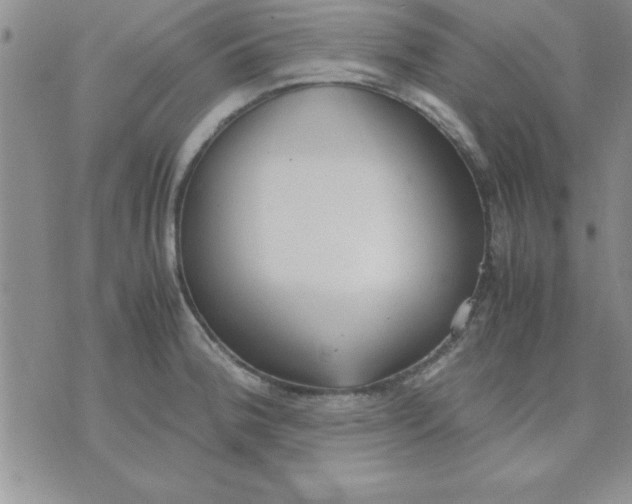 X0000071951188200607282000