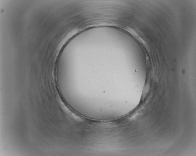 X0000071951189200607282000