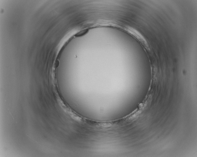 X0000071951190200607282000