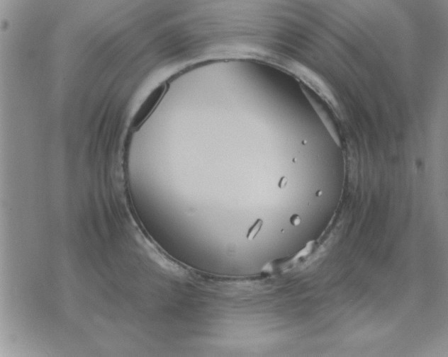 X0000071951192200607282000