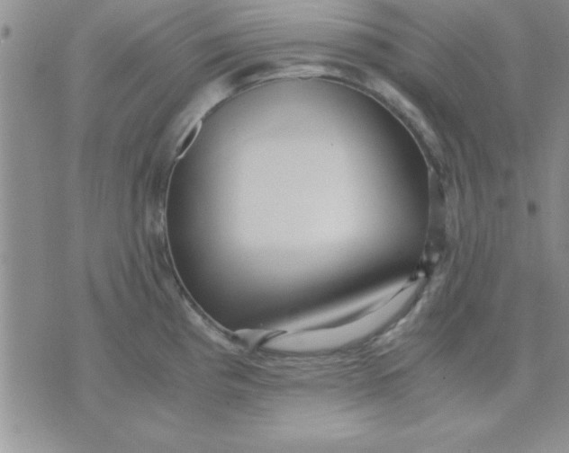 X0000071951193200607282000