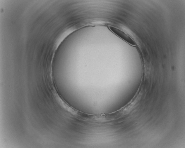 X0000071951194200607282000