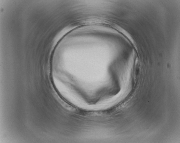 X0000071951195200607282000