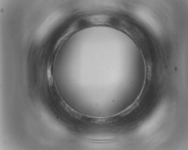 X0000071951198200607282000