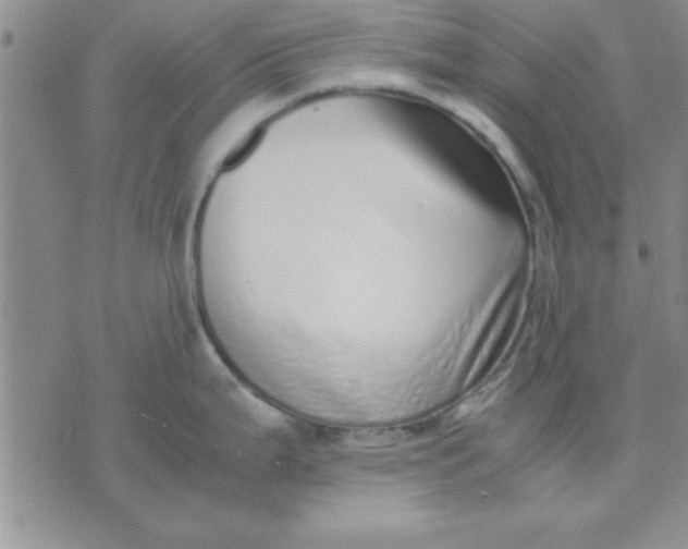 X0000071951199200607282000