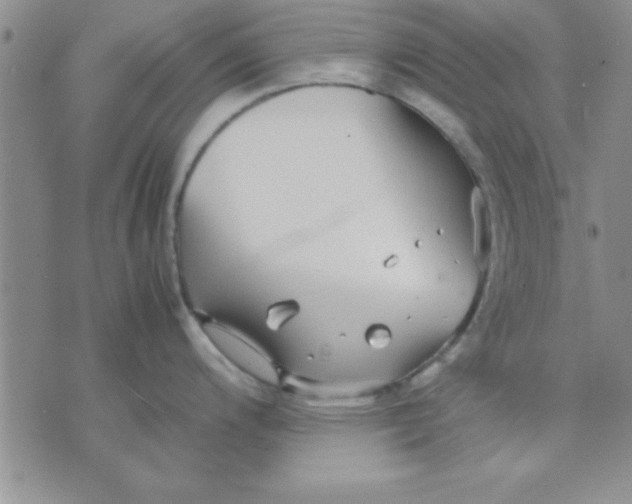 X0000071951200200607282000