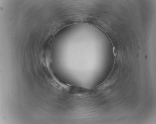 X0000071951202200607282000