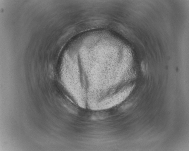 X0000071951203200607282000