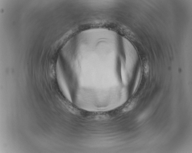 X0000071951204200607282000