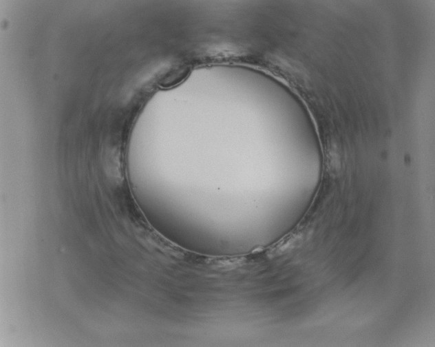 X0000071951205200607282000