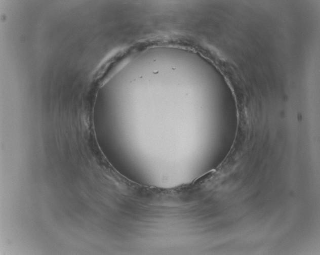 X0000071951206200607282000