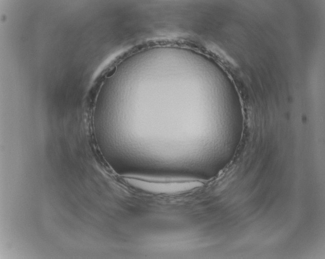 X0000071951208200607282000