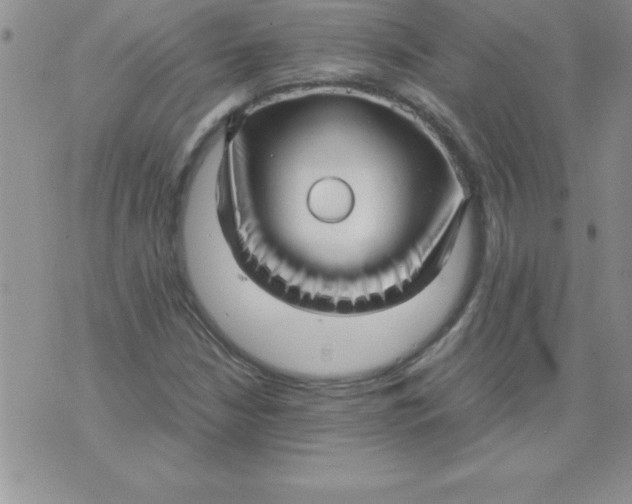 X0000071951210200607282000