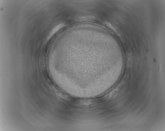 X0000071951211200607282000