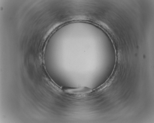 X0000071951212200607282000