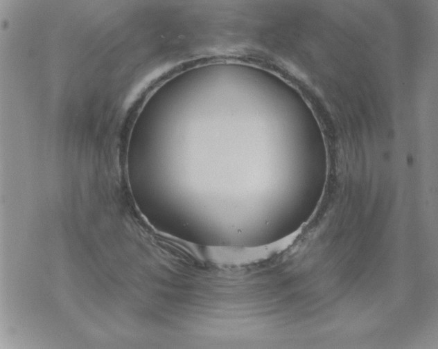 X0000071951214200607282000