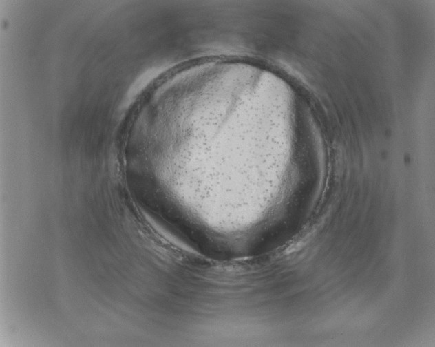 X0000071951215200607282000