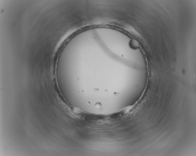 X0000071951216200607282000