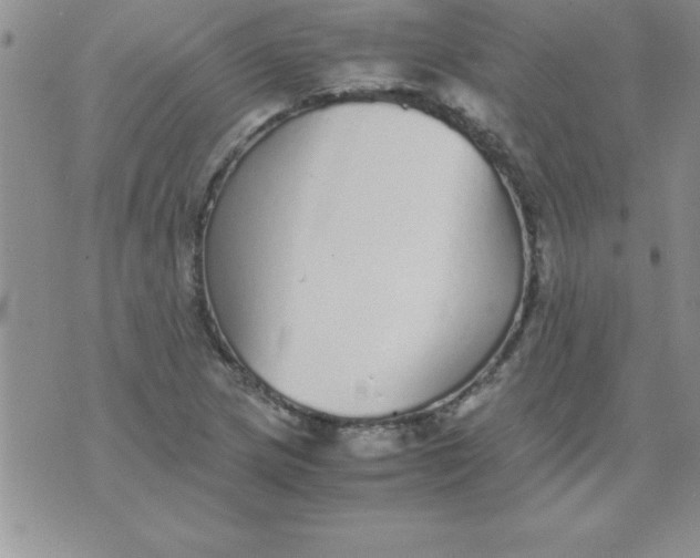 X0000071951217200607282000