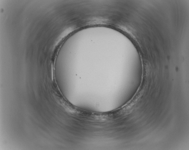 X0000071951219200607282000