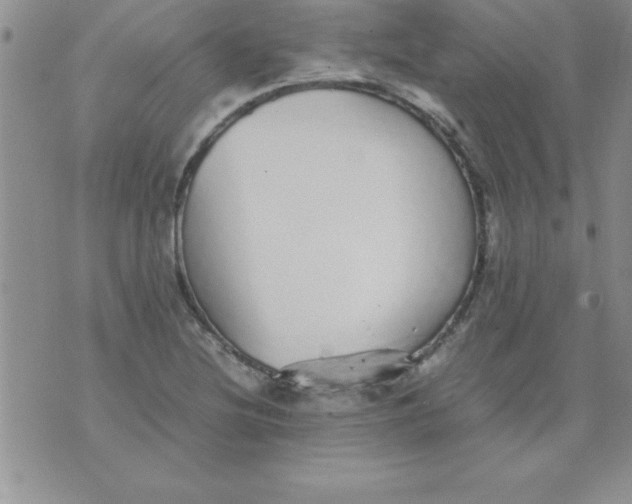 X0000071951220200607282000