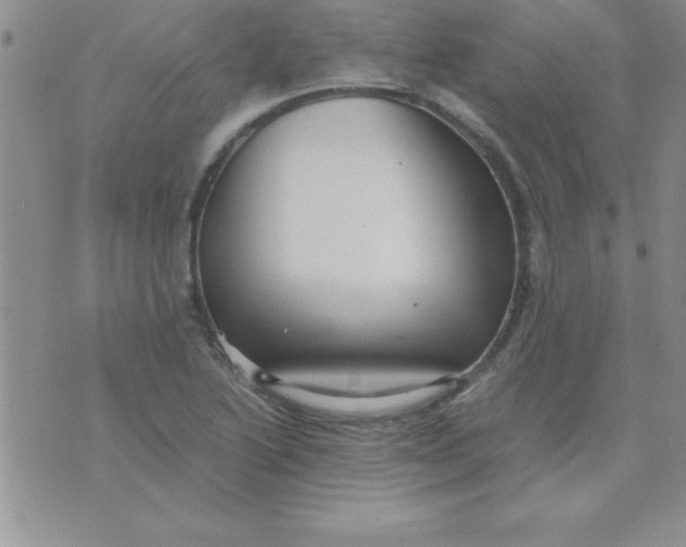 X0000071951222200607282000