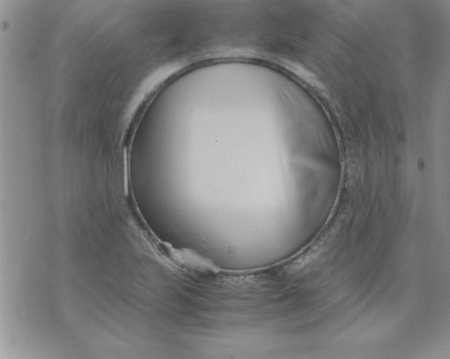 X0000071951223200607282000