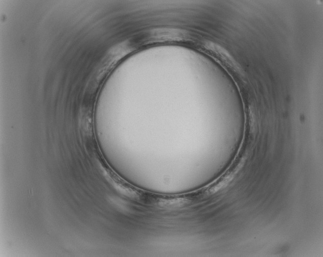 X0000071951225200607282000