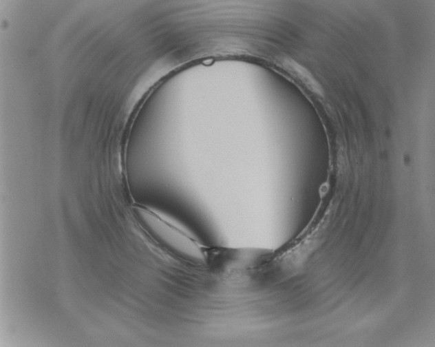 X0000071951226200607282000