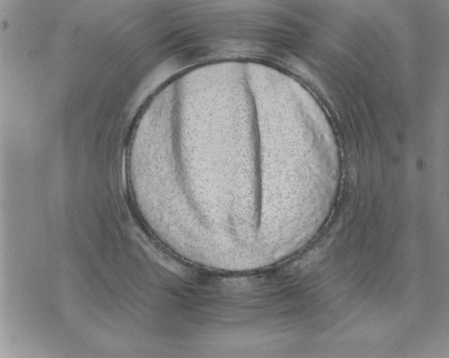 X0000071951227200607282000