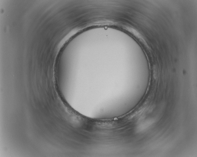 X0000071951229200607282000