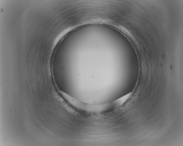 X0000071951230200607282000