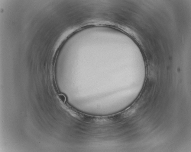 X0000071951231200607282000