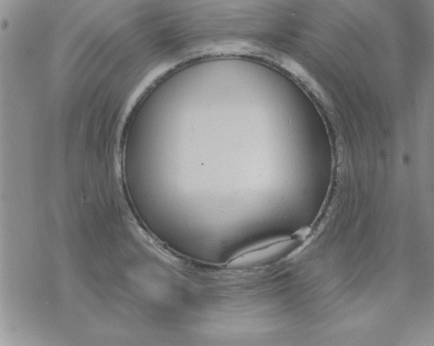 X0000071951232200607282000