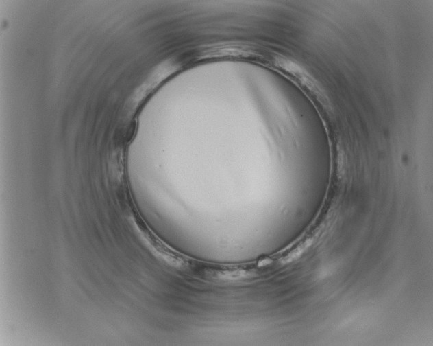 X0000071951233200607282000