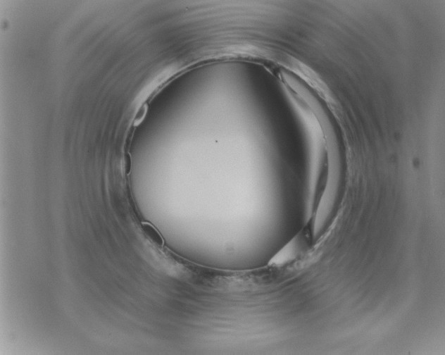 X0000071951234200607282000