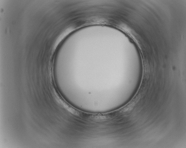 X0000071951235200607282000