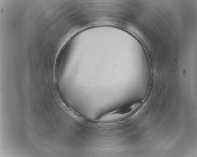 X0000071951236200607282000