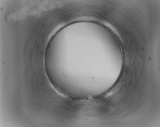 X0000071951237200607282000