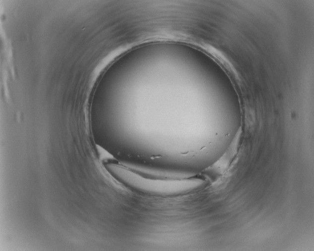 X0000071951238200607282000