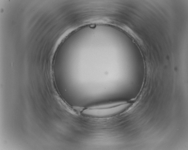 X0000071951240200607282000