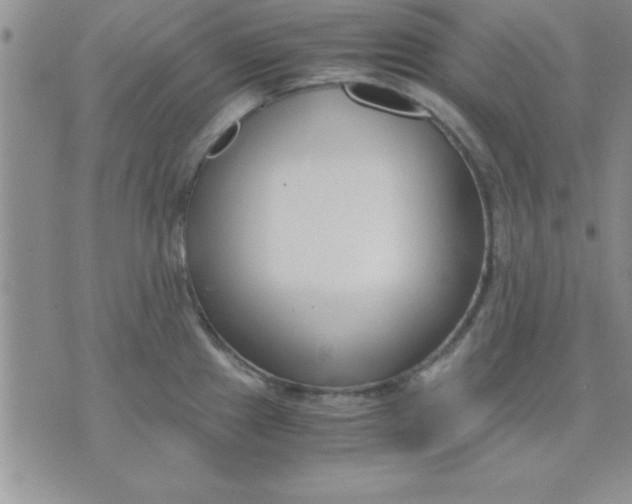 X0000071951241200607282000