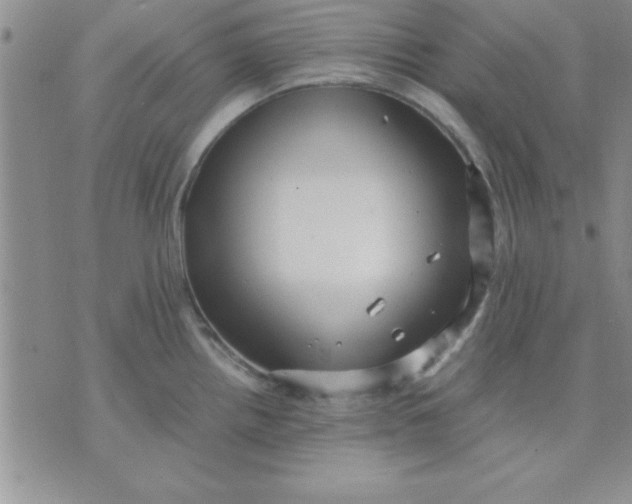 X0000071951242200607282000