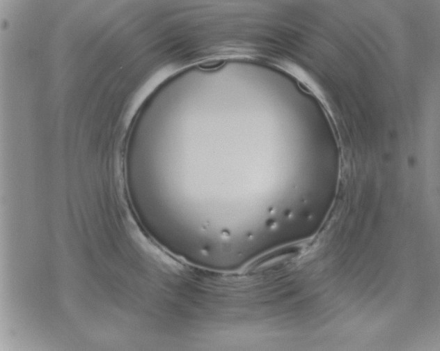 X0000071951243200607282000