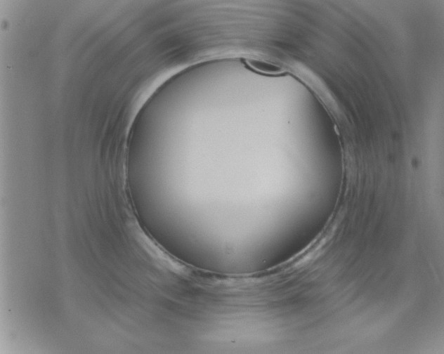 X0000071951244200607282000