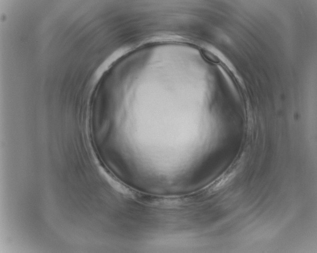 X0000071951245200607282000