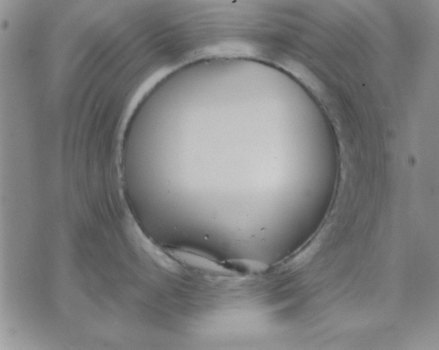 X0000071951248200607282000