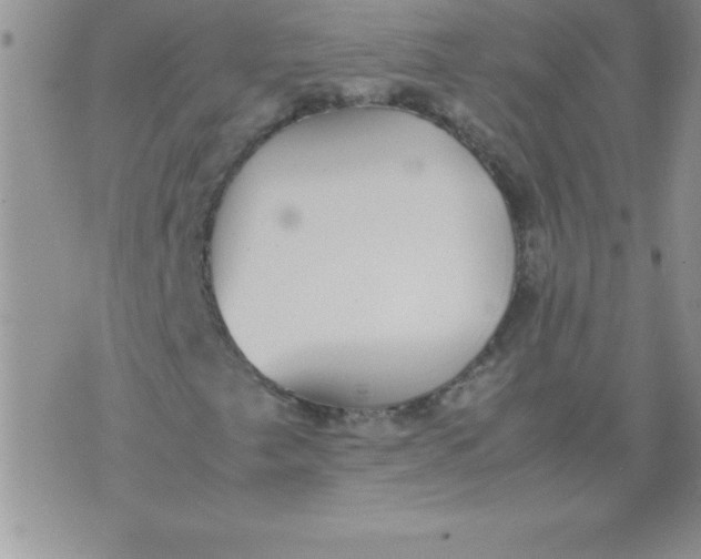 X0000071951249200607281959